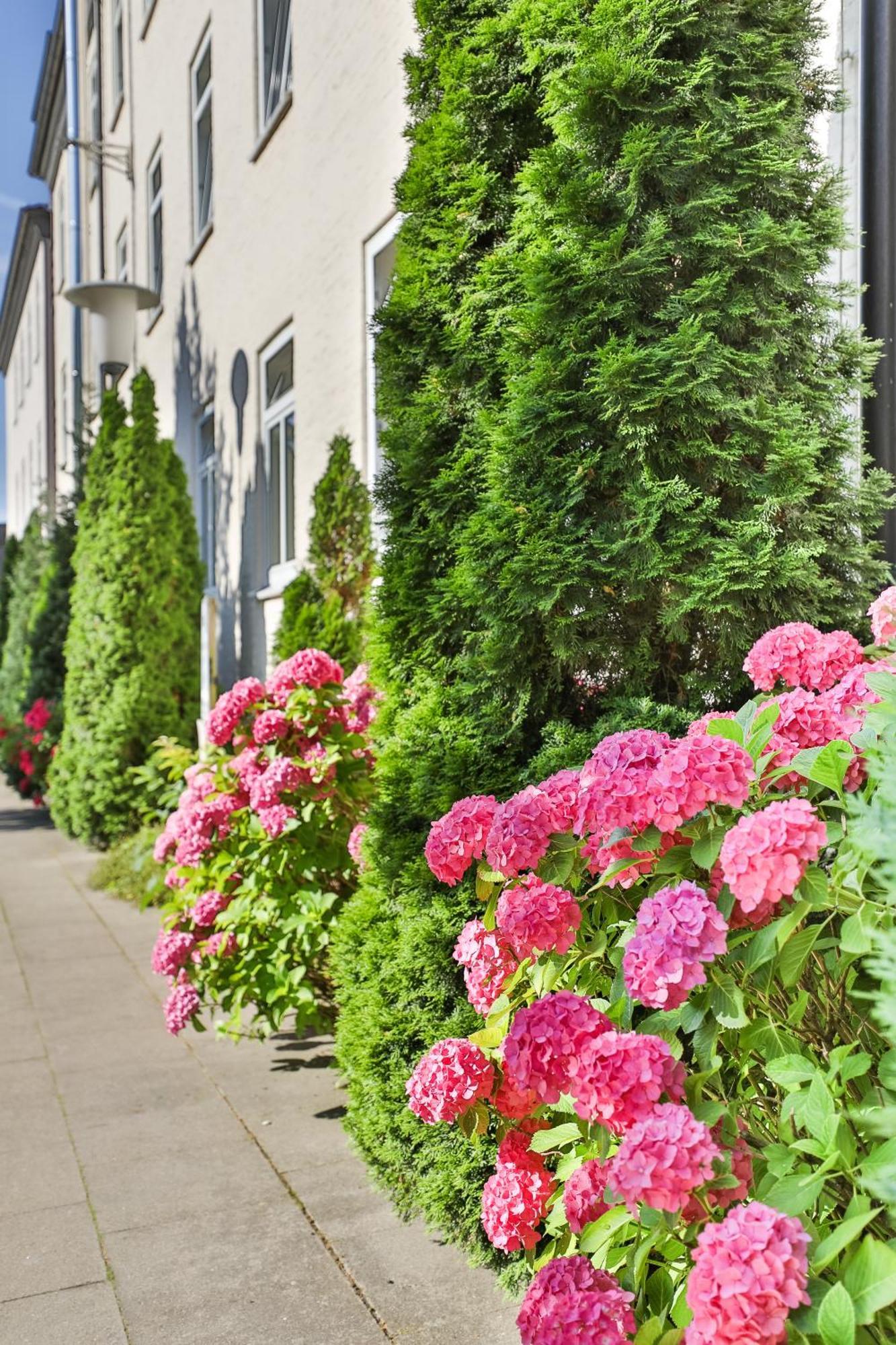 Berne Apartments Hamburg Ngoại thất bức ảnh